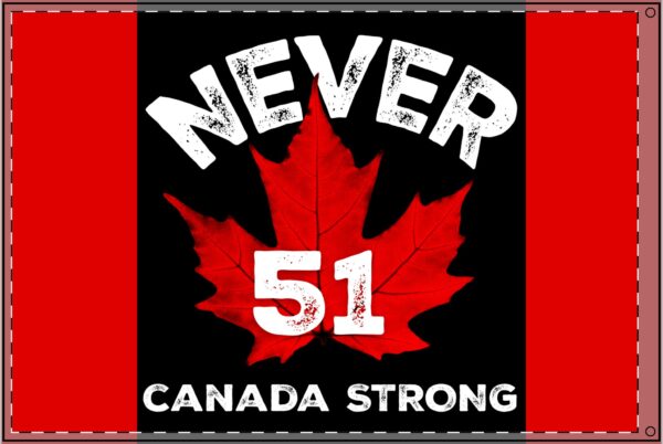 NEVER 51, Canada-themed Double Sided Flag, Funny Home Decor, Outdoor Flag, - Image 3